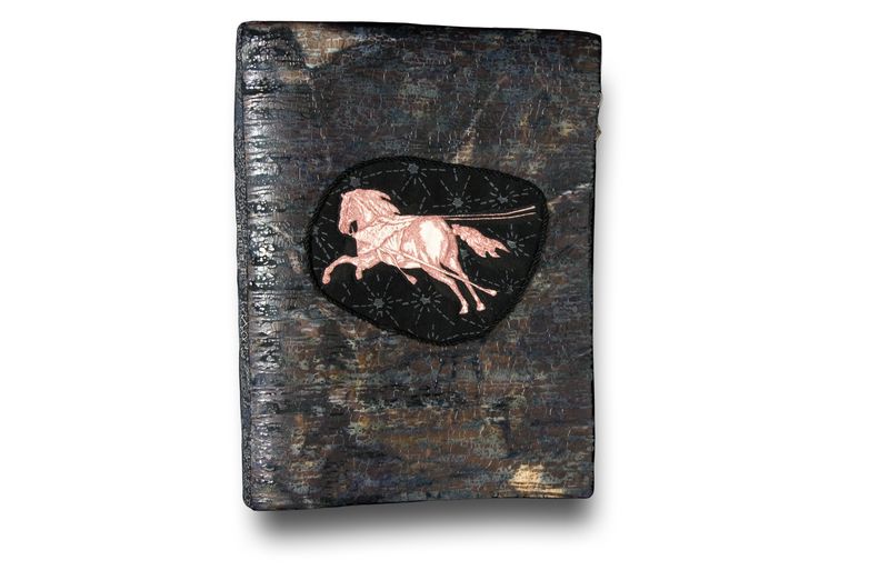 An image of a Book titled A Book of Horses by artist China Marks