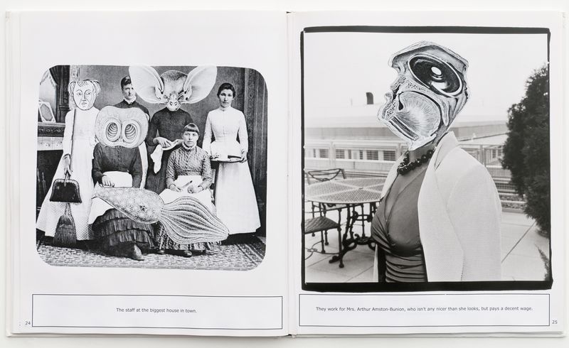 An image of a Book titled Weirdsville by artist China Marks