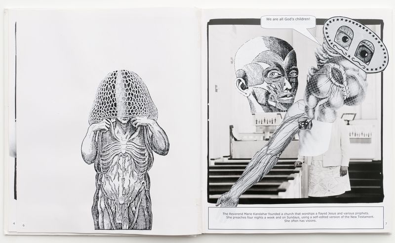 An image of a Book titled Weirdsville by artist China Marks