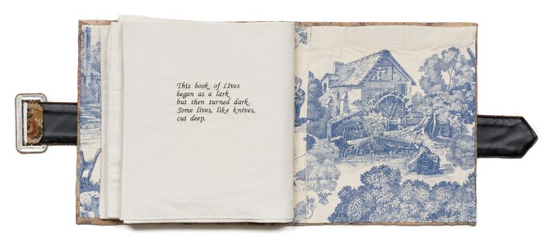An image of a Book titled Brief Lives by artist China Marks